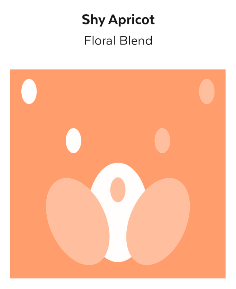 Floral Blend_Shy Apricot